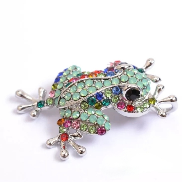 Silver plated multicolor crystal frog necklace/brooch with gold chain - Picture 9 of 16